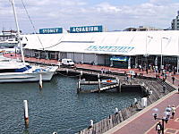 シドニー水族館