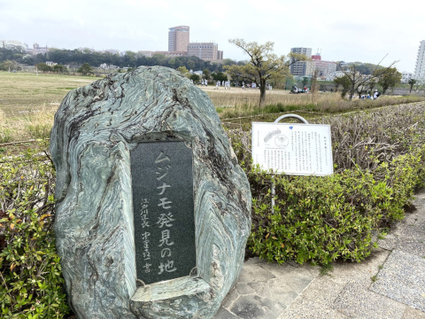 ムジナモ発見の地